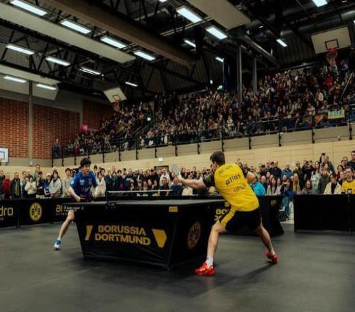 中国体育产,业学会,十年征程,博鱼,BoYu,博鱼官网,博鱼体育官网,博鱼体育下载,博鱼APP